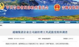 吉林通化爆料最新消息,揭秘神秘事件背后的真相